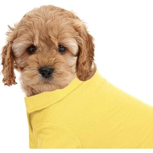 Puppy Pet Polo Tee Chihuahua Shirt Outfit for Pug Costume Dropshipping PC2111