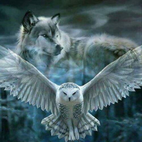 NEW Arrival 5D Full Round Diamond Painting Cross Stitch animal Diamond Embroidery Diamond Mosaic snow owl and wolf Home decor