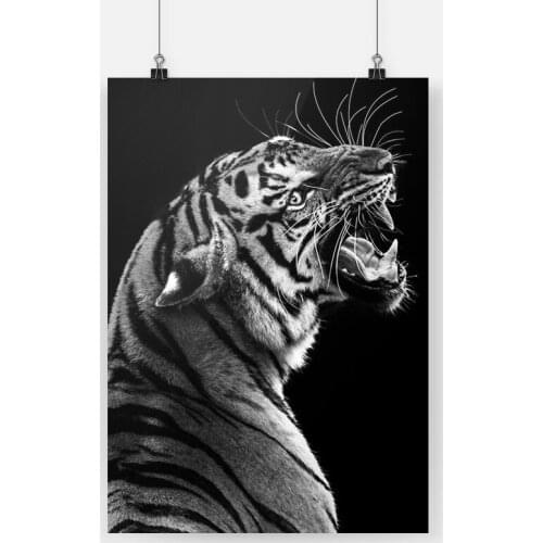 Black and white Wild Angry Tiger Animal Poster Canvas Painting Wall Art Decor Living Room Bedroom Study Home Decoration Prints