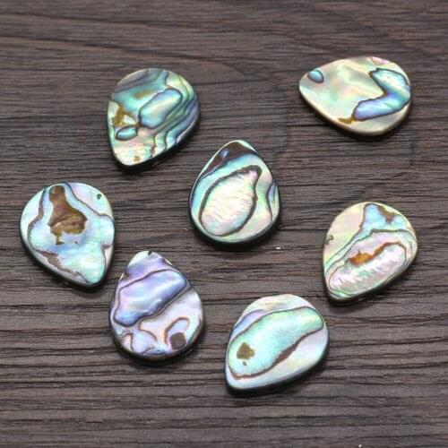 5pcs Natural Abalone Shell Bead Single Natural Shell Loose Bead Accessories for Making Jewelry Necklace Bracelet 15x20mm