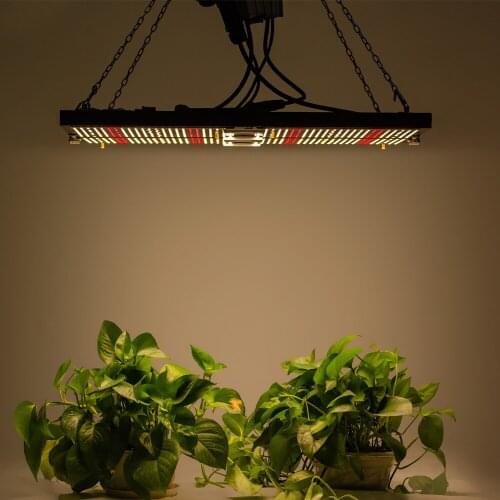 LED Grow Light 480W Samsung Led LM301B Dimmable Phytolamp Full Spectrum Quantum Board Foldable Grow Tent Lamp for Indoor Plant
