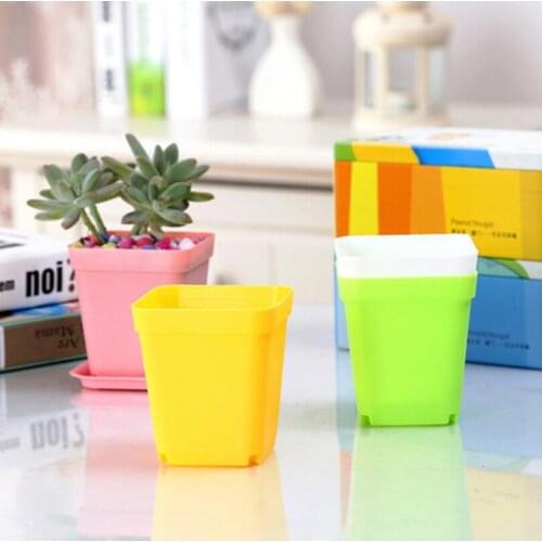 Colorful Bonsai Planters Plastic Table Mini Succulents Pots and Plate Gardening Vase Square Flower Pot LX6363