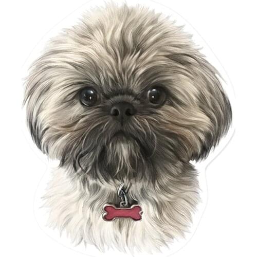 S41150# Various Sizes Self-adhesive Decal Tibetan Shih Tzu Car Sticker Waterproof Auto Decors on Bumper Rear Window
