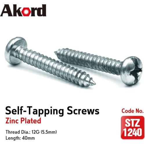 ACCORD 50PCS Self-Tapping Screws 12Gx40mm Zinc Plated with Storage Box Galvanized Steel Fasteners