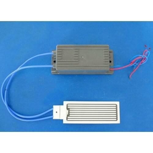 AC 220V 110V 10g Ozone Generator Ozone Ceramic Plate 10g/hr 10000MG/HR for WATER Plant Air Cleaner