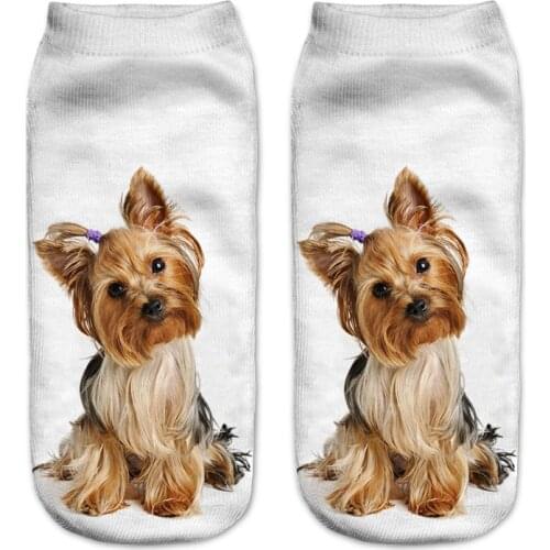 Chamsgend Newly Design Women Girls Rottweiler Dog 3D Print Female Socks Drop Shipping