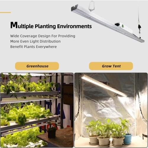 LED Grow Light Bar Quantum Board Samsung LM301B Full Spectrum 300W 3500K Plant Growing Lamp For Indoor