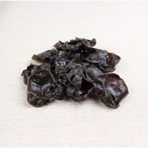 10pc/lot Artificial Foods & Vegetables Model Simulation Fungus Vegetables Fake Restaurant Catering Work Meal Exquisite Decoratio