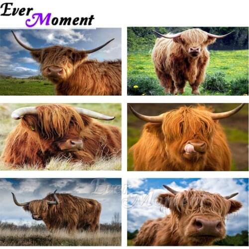 Ever Moment Diamond Painting Long Hair Cattle Picture Of Rhinestone Mosaic Decoration Home Diamond Embroidery Decor ASF2055