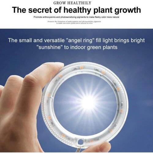 BLUEKING LED Plant Lamps