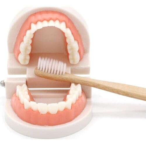 Montessori Educational Toys for Children Early Learning Kids Intelligence Brushing Tooth Teaching Aids Simulated Practical Life