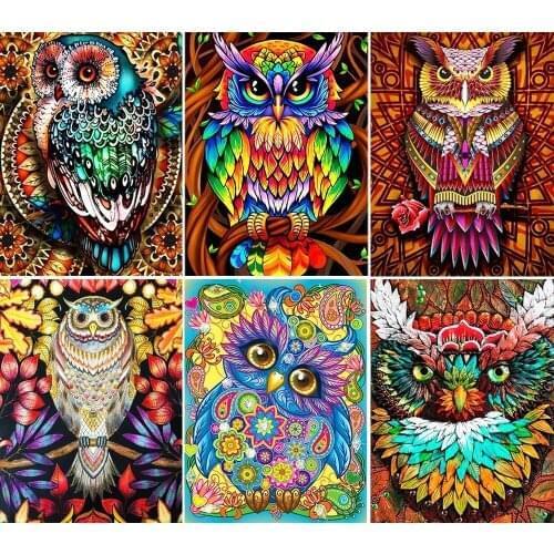 5D DIY Diamond Painting Color Owl Full Square/Round Rhinestone Art Diamond Embroidery Animal Mosaic Kit Home Decoration Gift