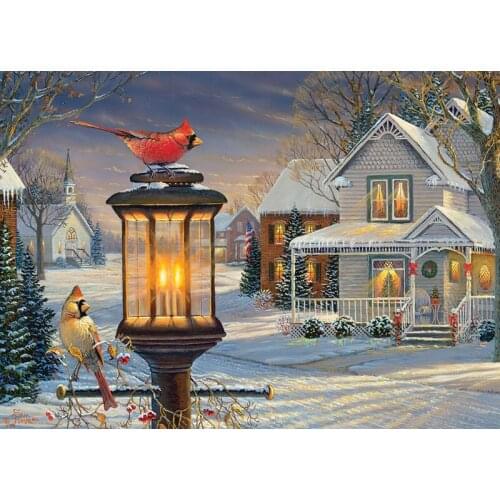 Full round&square Diamond 5D DIY Diamond Painting Snow bird Embroidery Cross Stitch Rhinestone Mosaic Painting Decor
