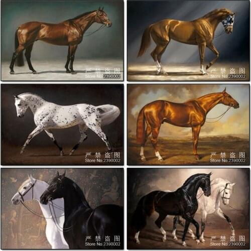 Animal Diy Diamond Embroidery Cross Stitch Kit Diamond Painting Beautiful Horse 3d Diamond Mosaic Full Canvas Full Drill Mosaic