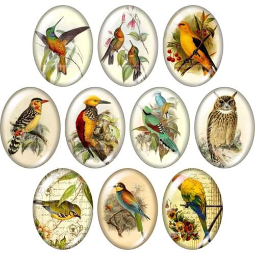 Vintage Birds parrot Magpie 13x18mm/18x25mm/30x40mm mixed Oval photo glass cabochon demo flat back Jewelry findings TB0046