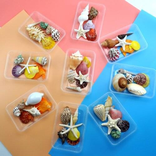 A box of a variety of cute color mixed shells aquarium nautical decoration natural conch childrens toy photography props