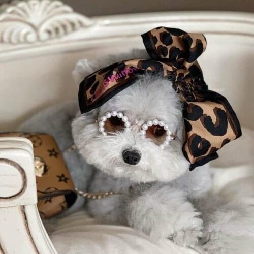 Cat Glasses Dog Glasses Pet Supplies Dog Pearl Sunglasses Teddy Than Panda Chihuahua Photo Sunglasses Out Sunglasses