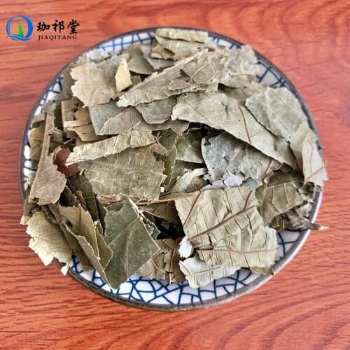 Folium Microcotis Microcos Paniculata. Bu Zha Ye