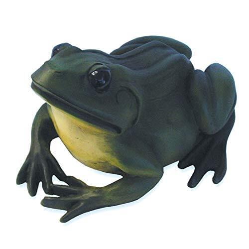 Bonfante Big Frog
