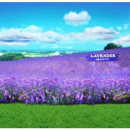 VinylBDS 10X10FT Wedding Photography Backdrop Blue Sky Backgrounds For Photo Studio Flowers Backdrop