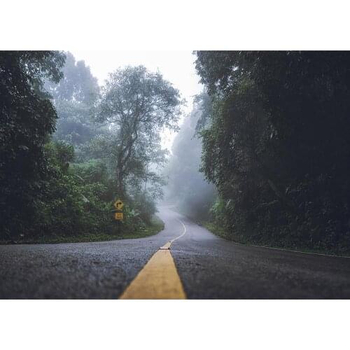 Woods Trees Road Sign Fog Photography Backgrounds Computer Printed Backdrop Photo Studio for Children Baby Portrait Photoshoot
