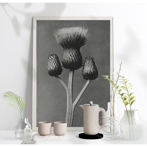 Black And White Flower Poster, Plantr Wall Art Canvas Painting Feather Quote Posters, Minimalist Modern Prints Flower Home Decor