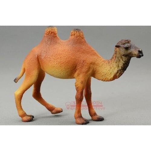 Pvc figure camel Solid animal model toys humped camels for collection ornaments
