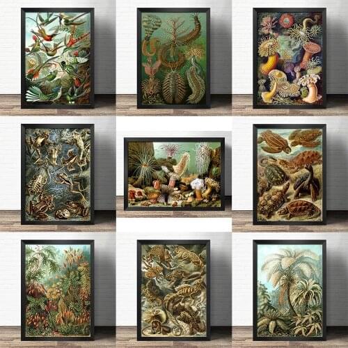 Popular science decorative painting early education world- Jurassic flora and fauna -Atlas art painting Retro poster kraft paper