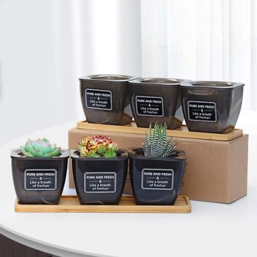 3Pieces Succulent Planter Pots Self-Watering Translucent Black Indoor Flower Pots with Drainage Hole and Bamboo Tray