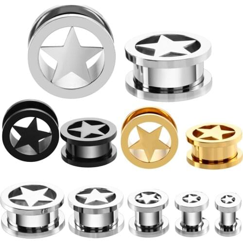 6-16mm 2Pcs Stainless Steel Ear Plugs Tunnels Screw Earring Piercing Ear Stretchers Expandar Gauges Ear Piercing Body Jewelry