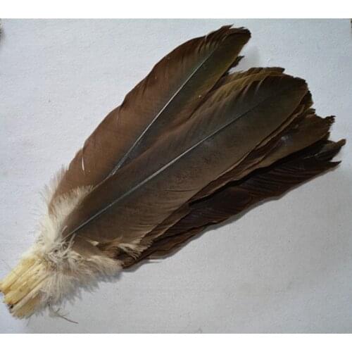 Beautiful! 50 pcs14-16inch / 35-40cm centimeters of natural eagle feathers, various pheasant feather decoration