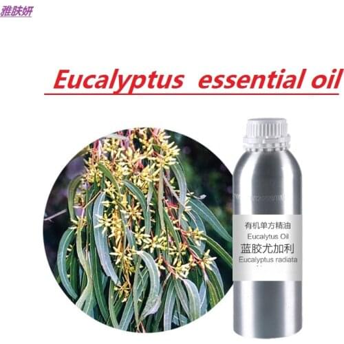 Cosmetics 50g-100g/bottle Eucalyptus essential oil organic cold pressed vegetable & plant oil skin care oil free shipping