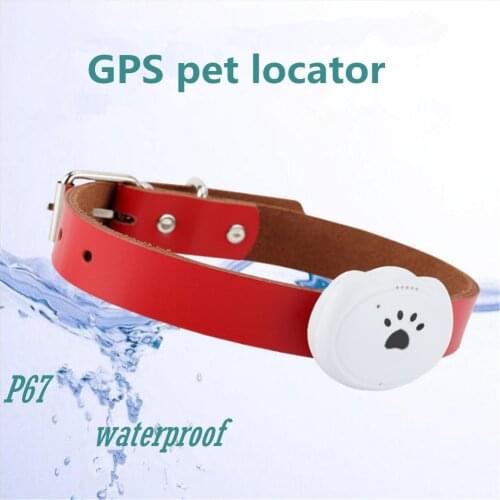 Mini cat dog collar gps pet locator intelligent waterproof tracker anti-lost track
