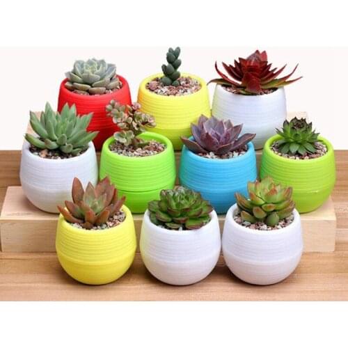 TECHOME Hot Sales Colorful Succulents Small Flower Pots Mini Stone Pill Pots Rainbow Color Pots Soft PP Resin Plastic Plant Pots