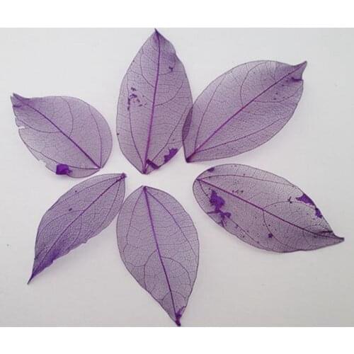 Wholesale 100pcs/Bag purple colors Natural skeleton leaves for DIY and home decor Card making A4
