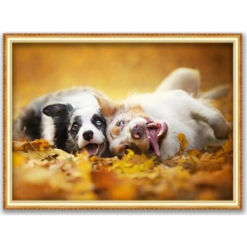 Animal Border Collie DIY Embroidery Cross Stitch 11CT Kits Craft Needlework Set Printed Canvas Cotton Thread Home Sell On Sale