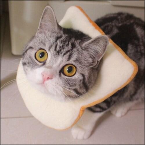 Creative Toast Pet Costume Soft Bread Slice Collar for Dogs and Cats Pet Photo Props Headgear Soft Edge Elizabeth Circle Collar