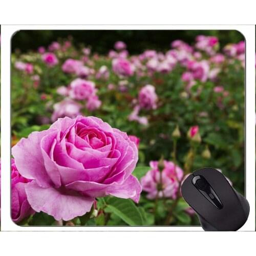 Rectangle Mouse Pad,Nature rose rose bush flower -Stitched Edges