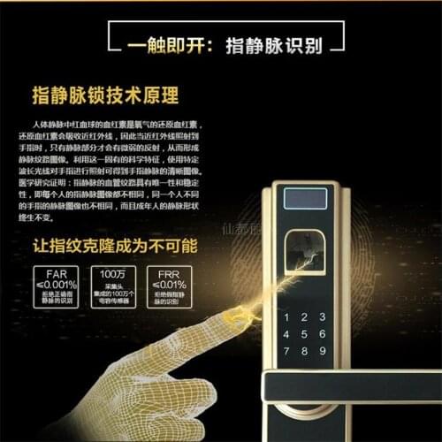 Finger vein recognition lock smart door lock