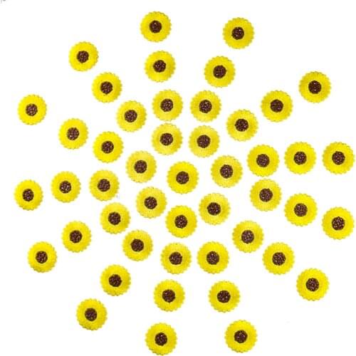 10PCS DIY Patch Cute Sun Flower Patches Embroidery Applique for Clothing Girl Women Clothes Sticker Fabric Accessories Wholesale