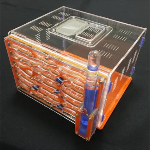 Villa 20*13*18.2cm big DIY moisture with feeding area ant nest ,ant farm acryl, insect ant nests villa pet mania for house ants