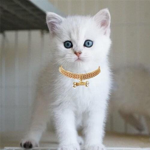 Pet Necklace Cat and Dog Supplies Three Drain Diamond Zircon Bone Jewelry High-end Pet Collar