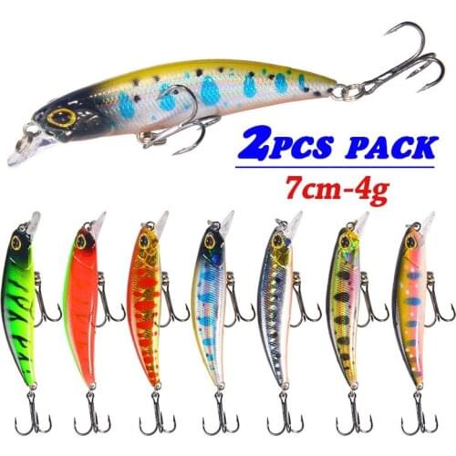 2PCS Minnow Fishing Lures Bass Carp Bait Sinking Artificial Hard Fish Lures Saltwater Freshwater Fishing Tackle 4g-7cm