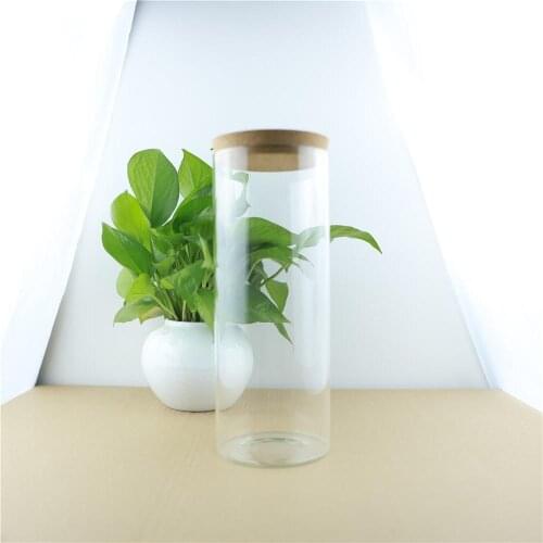 2pcs/lot 100*250mm 1700ml Storage Glass Bottle Food Jar Container Transparent Kitchen Storage Containers Cork Glass Bottles Jars