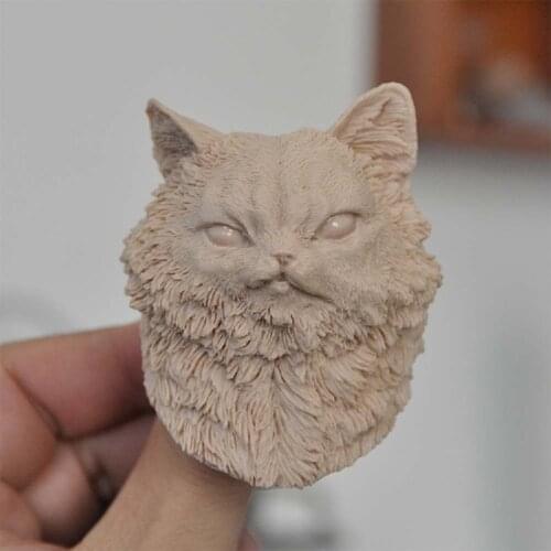 Blank 1/6 Scale Animal Corps The Boss Cat Head Sculpt Unpainted Fit 12" Figure