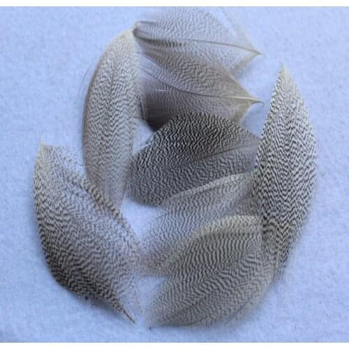 Hot Selling 10 pcs Pretty Natural Pheasant Feathers 4-7 cm DIY Jewelry Clothing Hat Christmas Holiday Decorative