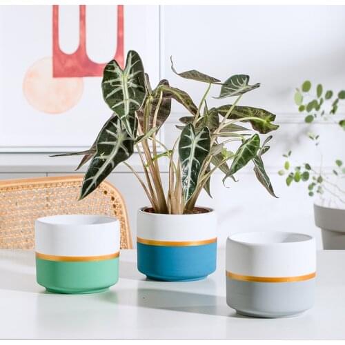 Nordic Splicing Double Color White Flower Pot Ceramic Flower Vase Succulent Planter Green Plants Flowerpot with Tray