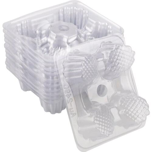 Box Tray Botanical Cradle Garden Fruit Melon Carrier Pots Support 50pcs Prevents Rotting Protector Transparent 140x113mm Plastic