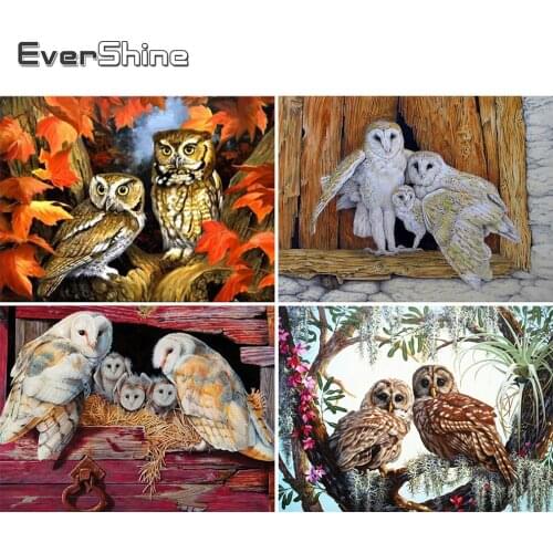 EverShine Diamond Embroidery 5D Owl Diamond Painting Animal Full Square Mosaic Picture Of Rhinestones DIY Beaded Home Decor