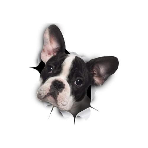 Funny French Bull Terrier Dog Microfiber Beach Travel Towel Lovely 3D Dogs Puppy Shower Bath Towel Set Quick Drying Dad Mom Gift